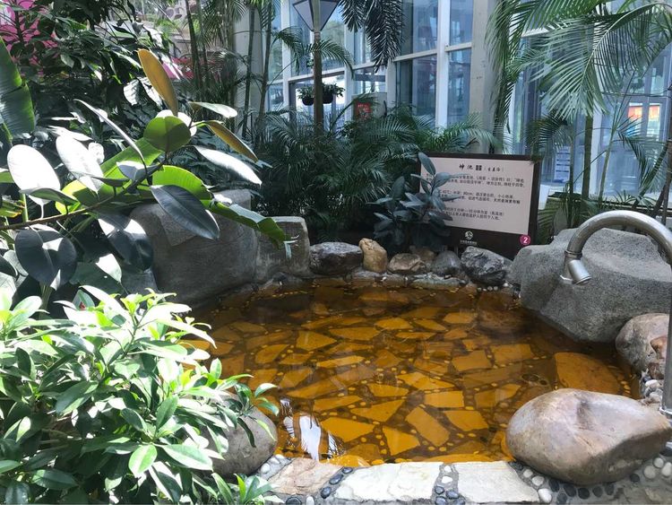 溫泉植物景觀的設(shè)計(jì)概述